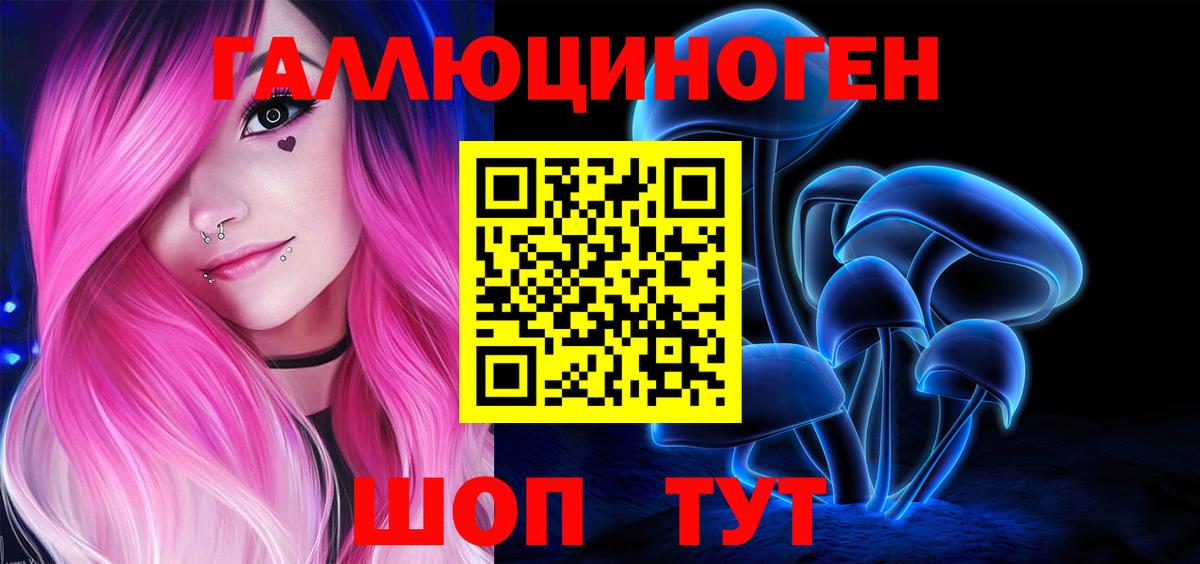 Златоуст  Галлюциногенные грибы прущие грибы  Вход с VPN 